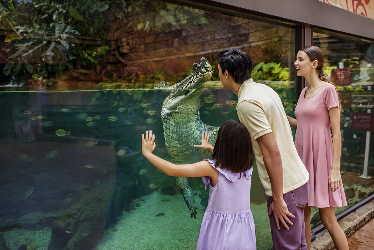 COMBO: Singapore Zoo + River Wonders Ticket - image 18