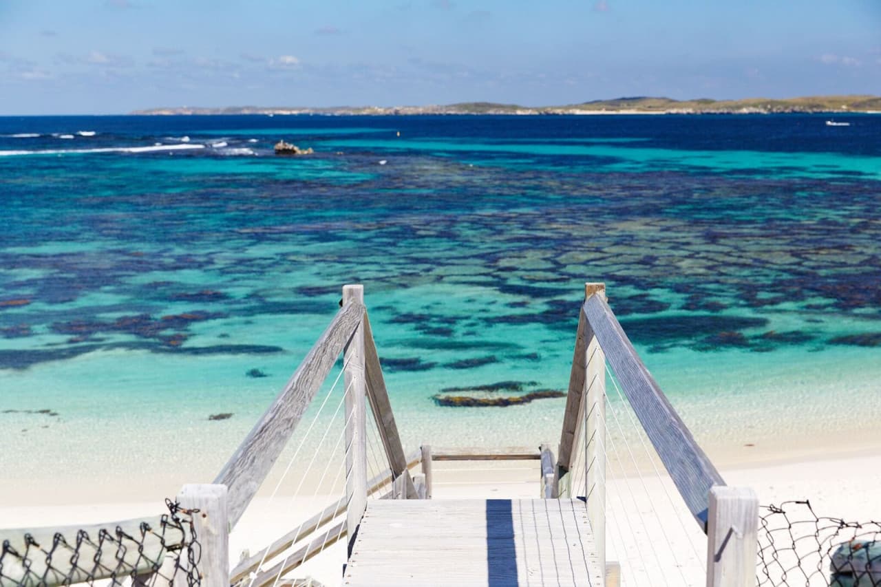 Round Trip SeaLink Ferry to Rottnest Island - image 2