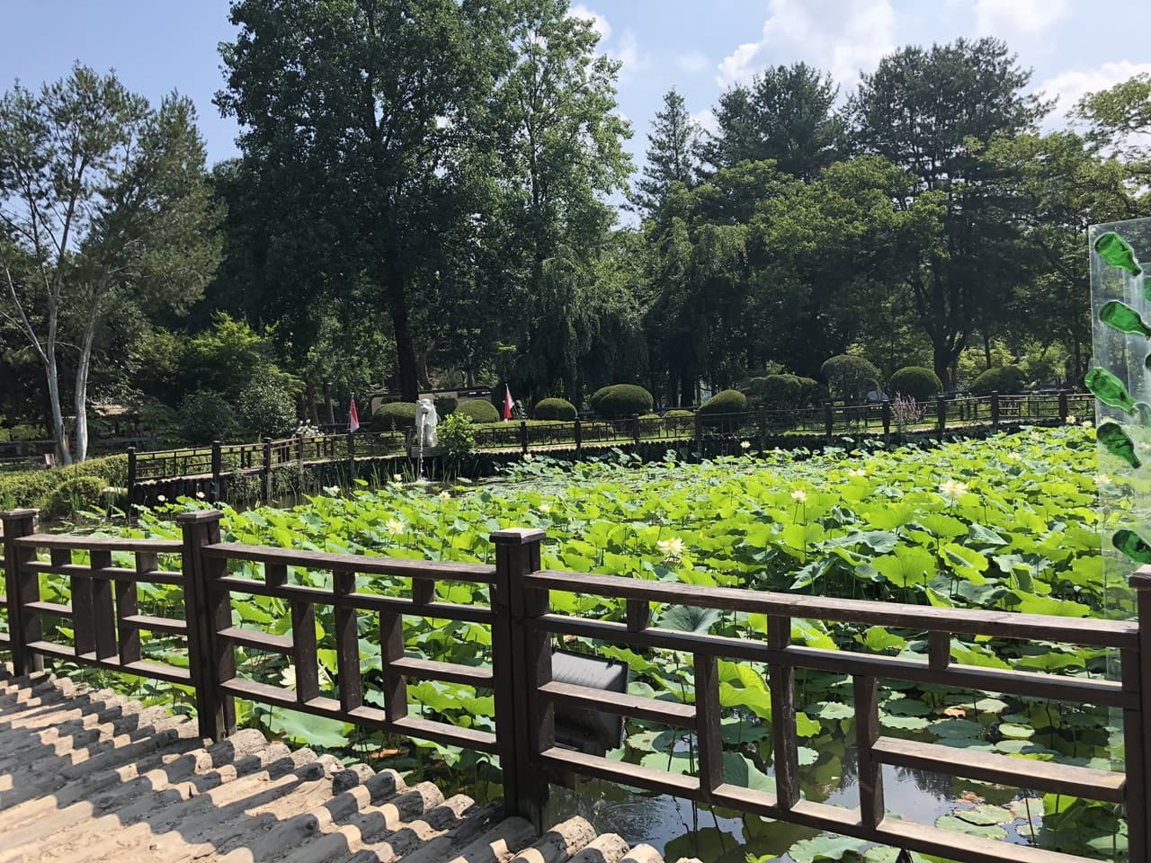 Nami Island, Mount Seorak, and Gapyeong Rail Bike Full-Day Tour from Seoul - image 17