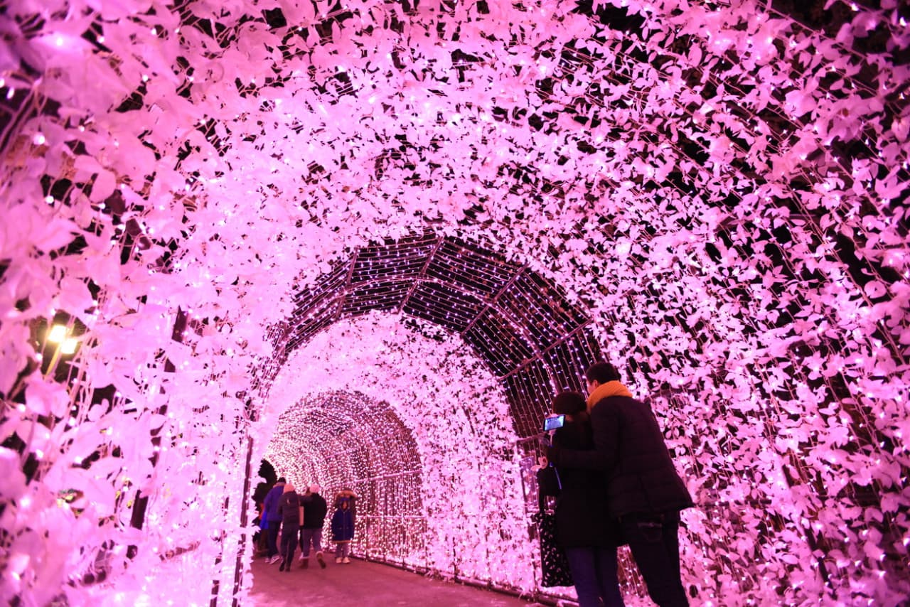 Nami Island and Garden of Morning Calm Tour from Seoul - image 10