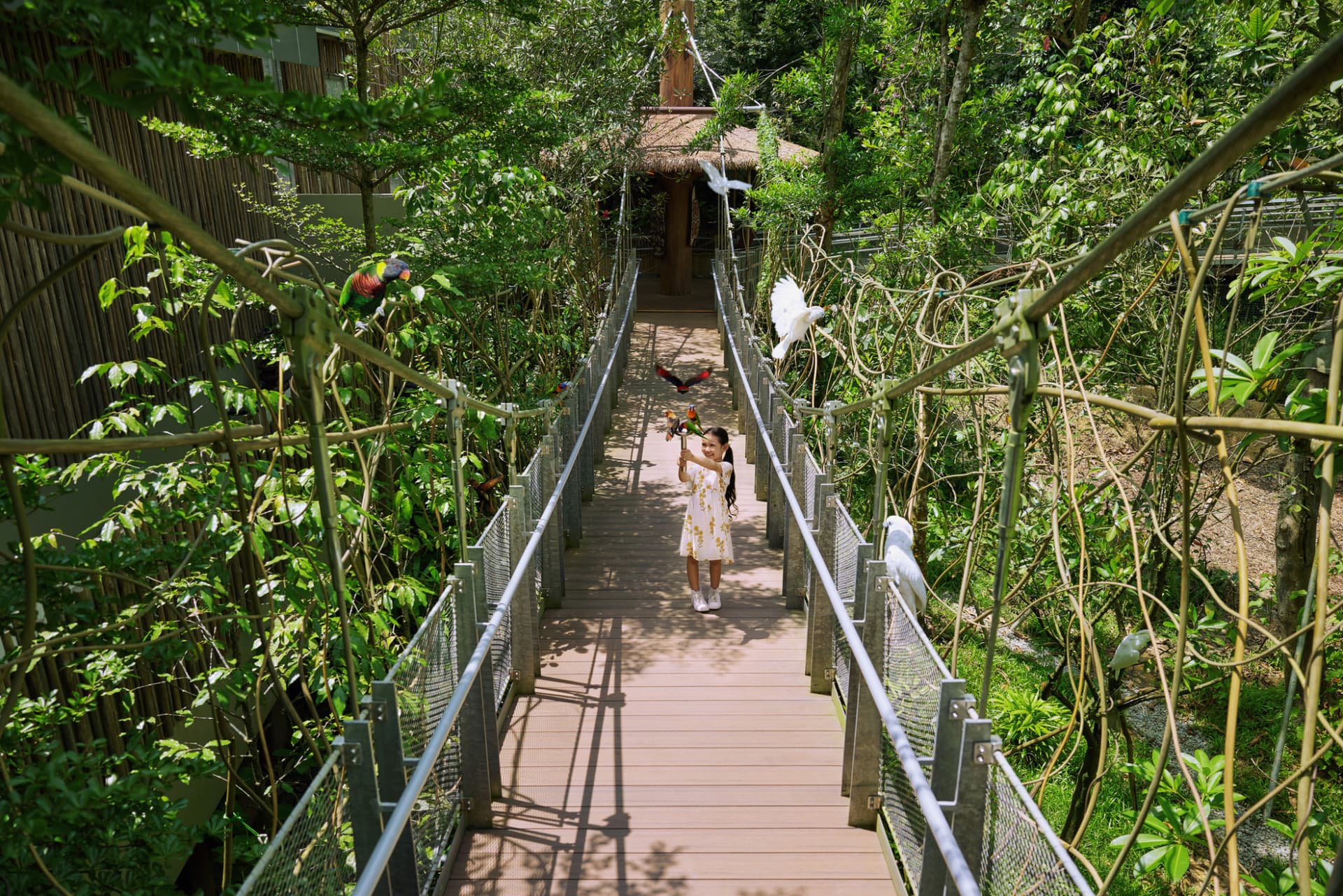 COMBO: River Wonders + Bird Paradise Ticket - image 12