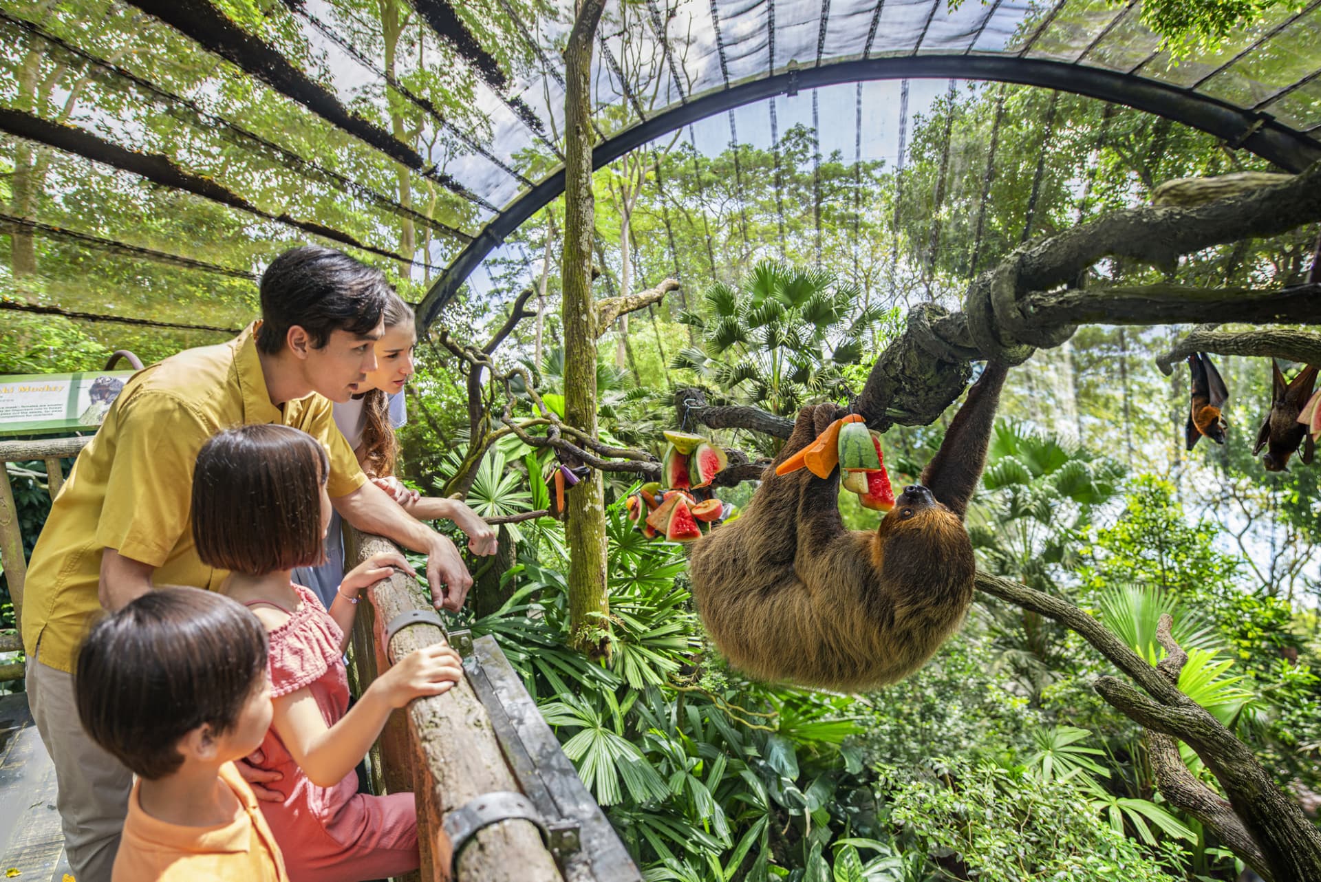 Mandai Destination Pass: Up to 2 Attractions in 1 Day - main image