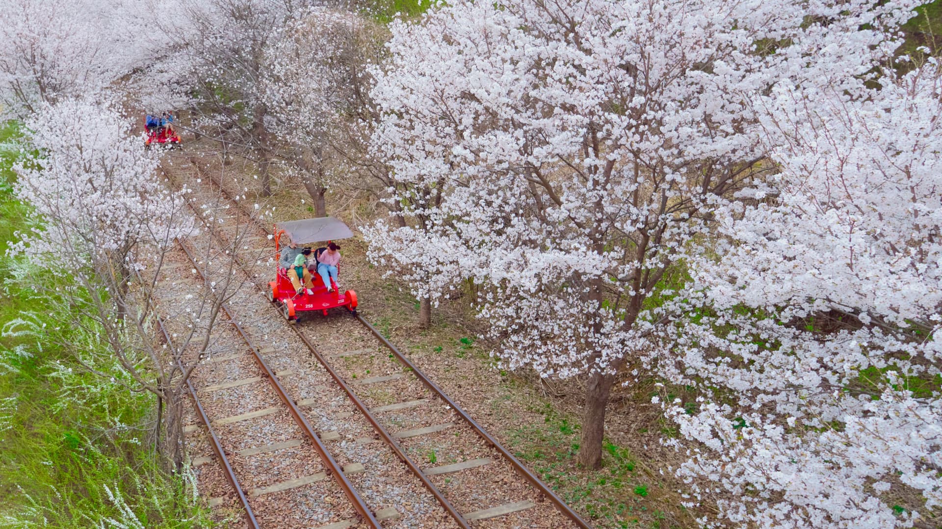 Nami Island, Mount Seorak, and Gapyeong Rail Bike Full-Day Tour from Seoul - image 15